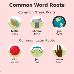 Words with root word miss