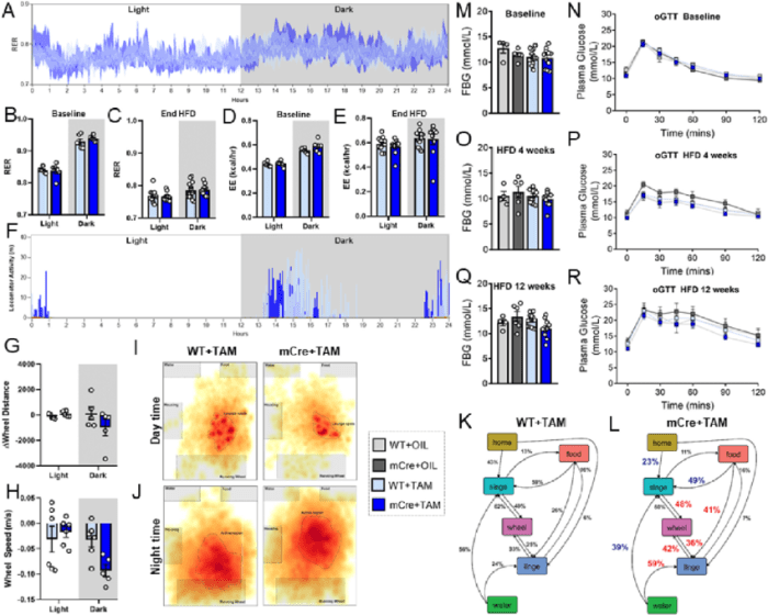 As rer values decrease fat metabolism increases