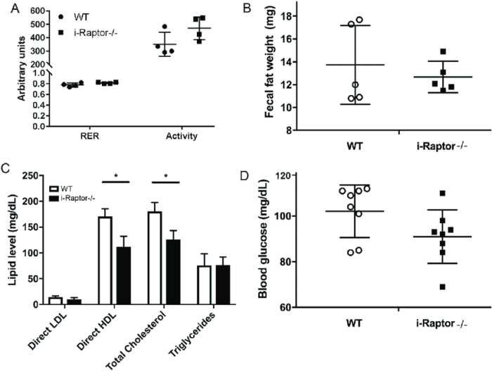 As rer values decrease fat metabolism increases