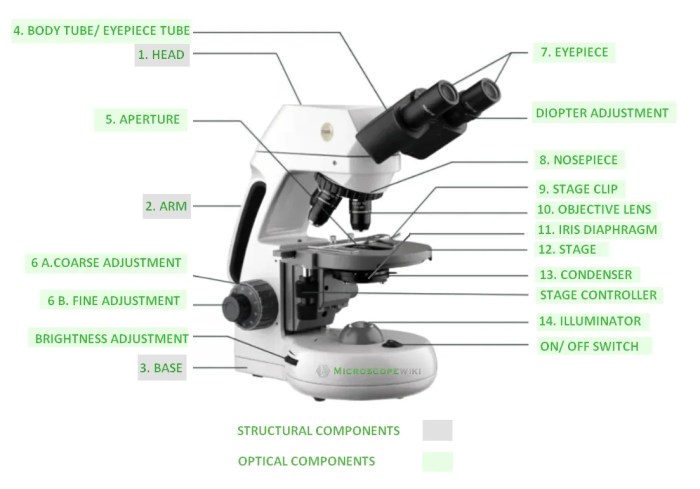 Microscope compound function biology class experiments microscopes handbook wikispaces labeling