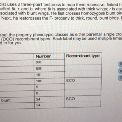 Suppose a geneticist uses a three-point testcross