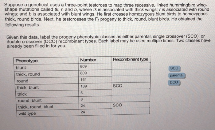 Suppose a geneticist uses a three-point testcross