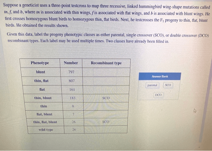 Suppose a geneticist uses a three-point testcross