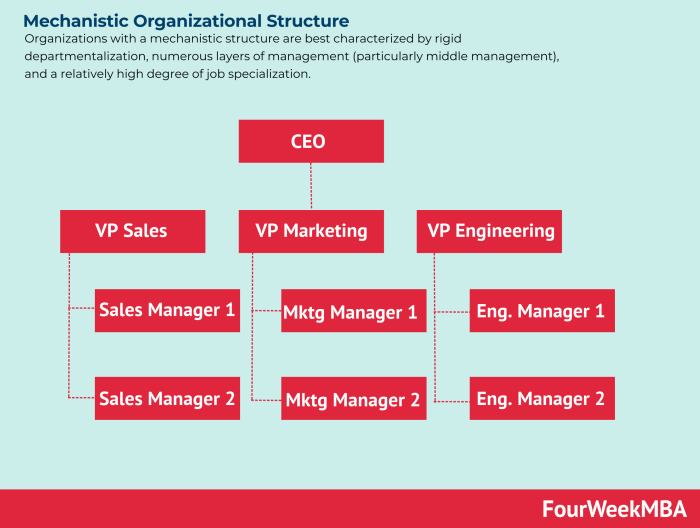 Which of the following statements about mechanistic organizations is true