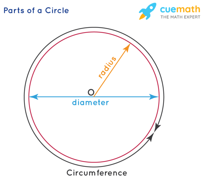 Homework 1 parts of circles area & circumference