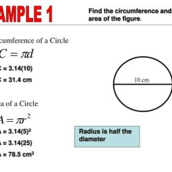 Homework 1 parts of circles area & circumference